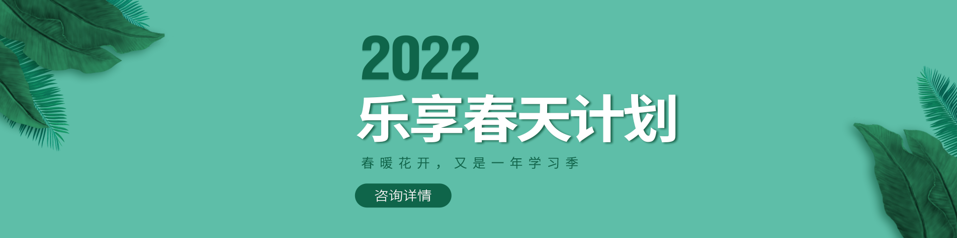 鸡吧操逼视频网站